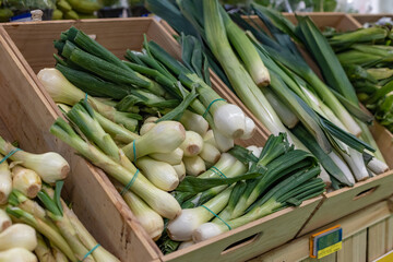 Obraz premium Crate with green onions in a greengrocer.