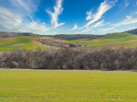 FIELDS OF TILLAGE WHEAT GREEN BLUE SKY WITH CLOUDS