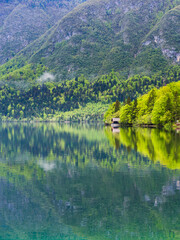 Fototapeta na wymiar Lake Bohinj reflections, Triglav National Park, Julian Alps, Slovenia, Europe