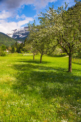 Soca Valley, Slovenia. Julian Alps, seen from Soca Valley in Triglav National Park, Julian Alps, Slovenia, Europe