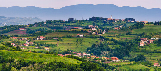 Vineyards in Goriska Brda, with Chiesa di San Floriano del Collio on top of the hill, Goriska Brda (Gorizia Hills), Slovenia, Europe - obrazy, fototapety, plakaty