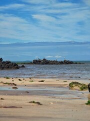 Egrets on the beach with blue sky