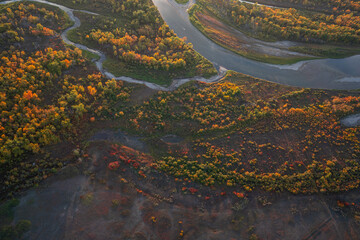 Bow River Landscapes