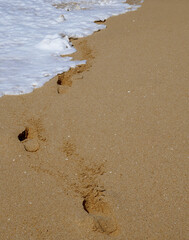 Footprints in the soft wet sand end at the waters edge on the beach.
