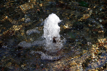 Full frame close-up view of bubbling water in a small outdoor fountain