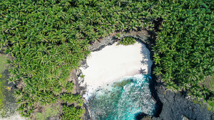 A beautiful shot of the Sao Tome e Principe in Prince Island,Africa