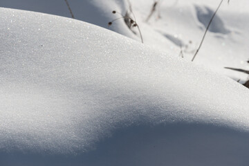 abstract composition with snow and dried grass