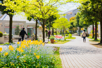 春の花が咲く住宅街　多摩ニュータウン