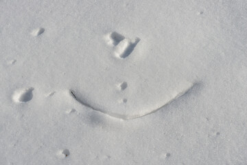 smilie in the snow
