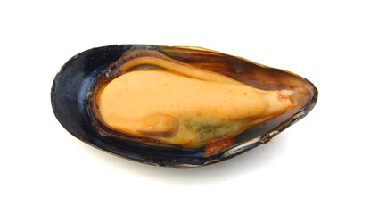 Mussels isolated on white background
