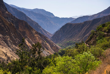 Fototapeta na wymiar Colca Canyon, Peru, South America