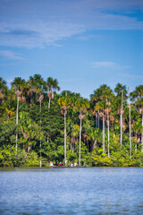 Fototapeta na wymiar Canoe boat trip on Sandoval Lake, Tambopata National Reserve, Amazon Jungle of Peru, South America