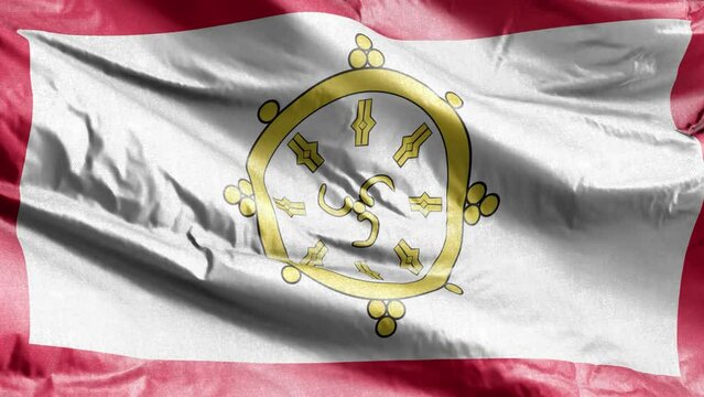 Sikkim textile flag waving on the wind loop. Sikkimese banner swaying on the breeze. Fabric textile tissue. Full filling background. 10 seconds loop.