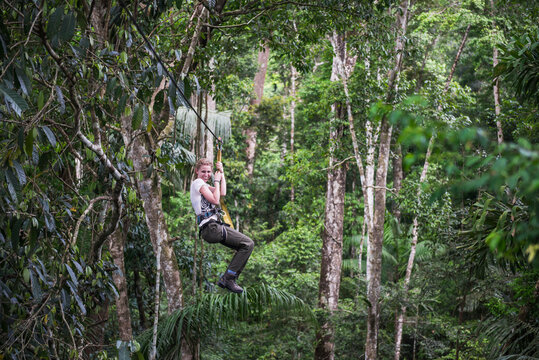 Zip lining on a zip line in Amazon Jungle of Peru on an adventure and adrenaline holiday vacation to South America, South America