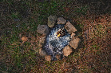 small bonfire from above almost extinguished in the middle of a pine forest