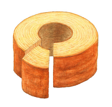 バウムクーヘン　ケーキイラスト　手描き