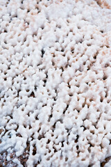 Salt pans (Salinas de Maras), Maras, near Cusco (Cuzco), Peru, South America