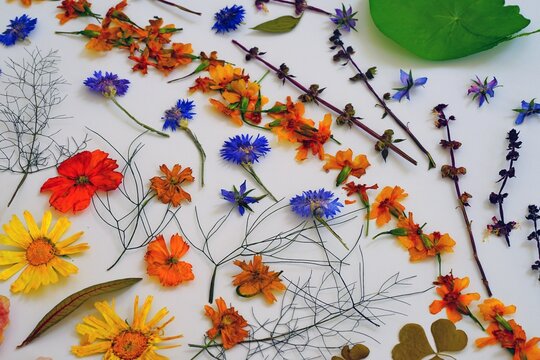 Colorful Pressed Dried Edible Flowers For Cake Decoration