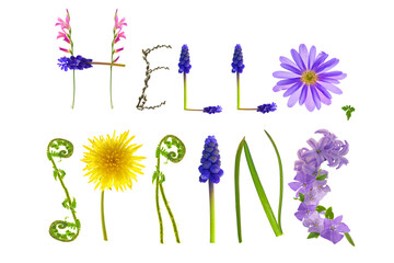Hello spring.Floral letters isolated on white background . Spring banner. Floral alphabet. Spring...
