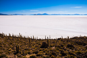 Uyuni Salt Flats (Salar de Uyuni) seen from cactus covered Fish Island (Isla Incahuasi or Inka Wasi), Uyuni, Bolivia, South America