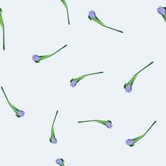 Seamless pattern with flowers. Abstract cute pattern on a Woman's Day with blue tulips on a white background. Random, chaotic Very Peri background with tulips. Spring postcard for March 8.