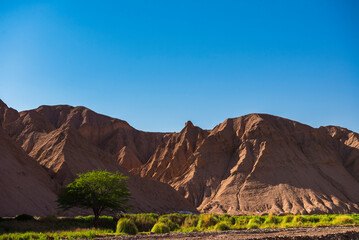Katarpe Valley, Atacama Desert, North Chile, South America
