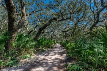 Fototapeta premium creative