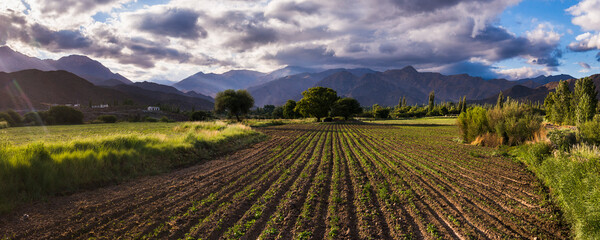 Rural Cachi Valley farmland landscape with Andes Mountains and dramatic clouds at sunset, Calchaqui Valleys, Salta Province, North Argentina, South America