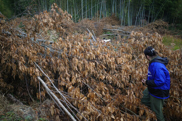 ブッシュクラフトをする男性