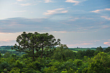 Viewing tower at Posada Puerto Bemberg Hotel, accommodation near Iguazu Falls and Puerto Iguazu, Misiones Province, Argentina, South America
