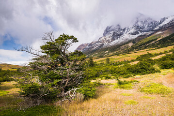 Torres del Paine National Park (Parque Nacional Torres del Paine), Patagonia, Chile, South America