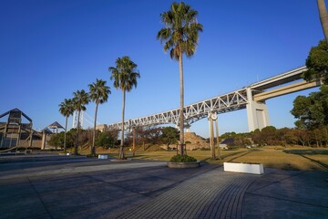 Fototapeta na wymiar 青空バックに見る瀬戸大橋とワシントンヤシのコラボ情景＠香川