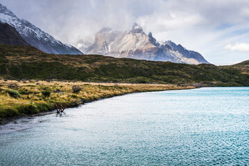 Paine Massif mountains, and Lake Pehoe, Torres del Paine National Park, Patagonia, Chile, South...