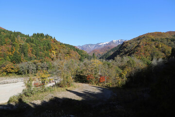 石川県道33号白山公園線の紅葉と雪化粧の白山（石川県白山市）