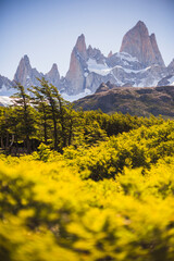 Fototapeta premium Mount Fitz Roy (aka Cerro Chalten), Los Glaciares National Park, El Chalten, Patagonia, Argentina, South America