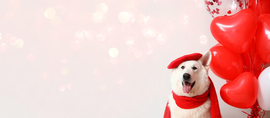 White dog with beret, scarf and balloons on light background with space for text. Valentine's Day celebration