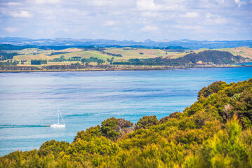 Sailing boat in the Bay of Islands seen from Russell, Northland Region, North Island, New Zealand