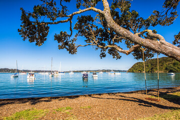 Swing on Russell Beach waterfront, Bay of Islands, Northland Region, North Island, New Zealand