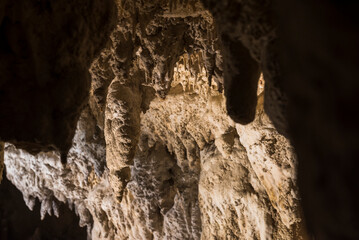 Stalagtites in Waitomo Caves, Waikato Region, North Island, New Zealand