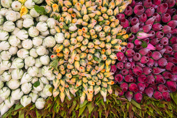 Flowers for sale as offerings at Shwedagon Pagoda, Yangon (Rangoon), Myanmar (Burma)