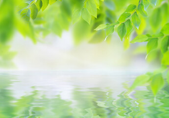 Fototapeta na wymiar Leaves over water nature background