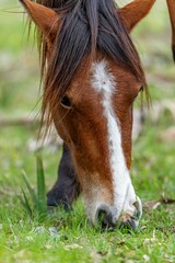 Fototapeta premium creative