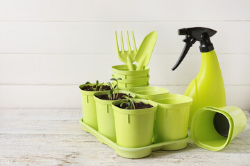 Tray with flower pots and gardening tools on light wooden table