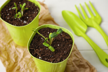 Flower pots and gardening tools on white wooden background, closeup