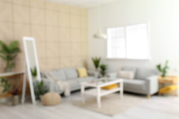 Blurred view of modern living room with comfortable sofas and mirror