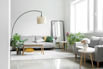 Interior of modern living room with sofas, mirror and houseplants