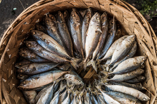 Fish in Berastagi (Brastagi) Market, North Sumatra, Indonesia, Asia