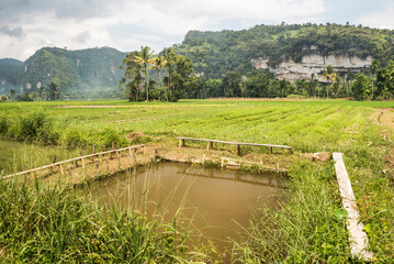 Harau Valley, Bukittinggi, West Sumatra, Indonesia, Asia