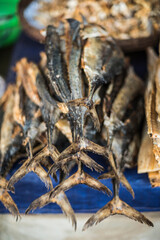 Fish at Hpa An Morning Market, Kayin State (Karen State), Myanmar (Burma)