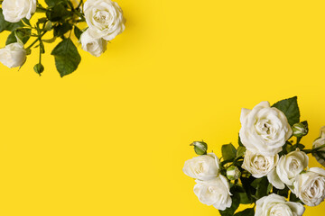 Bouquets of beautiful roses on yellow background